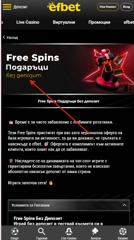 freespinsbg-2.png